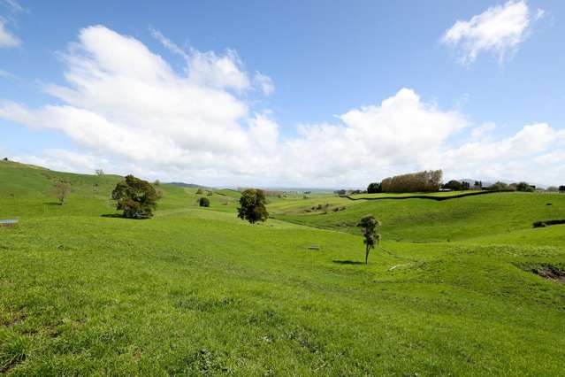 83 Te Kawa Road Te Awamutu_1