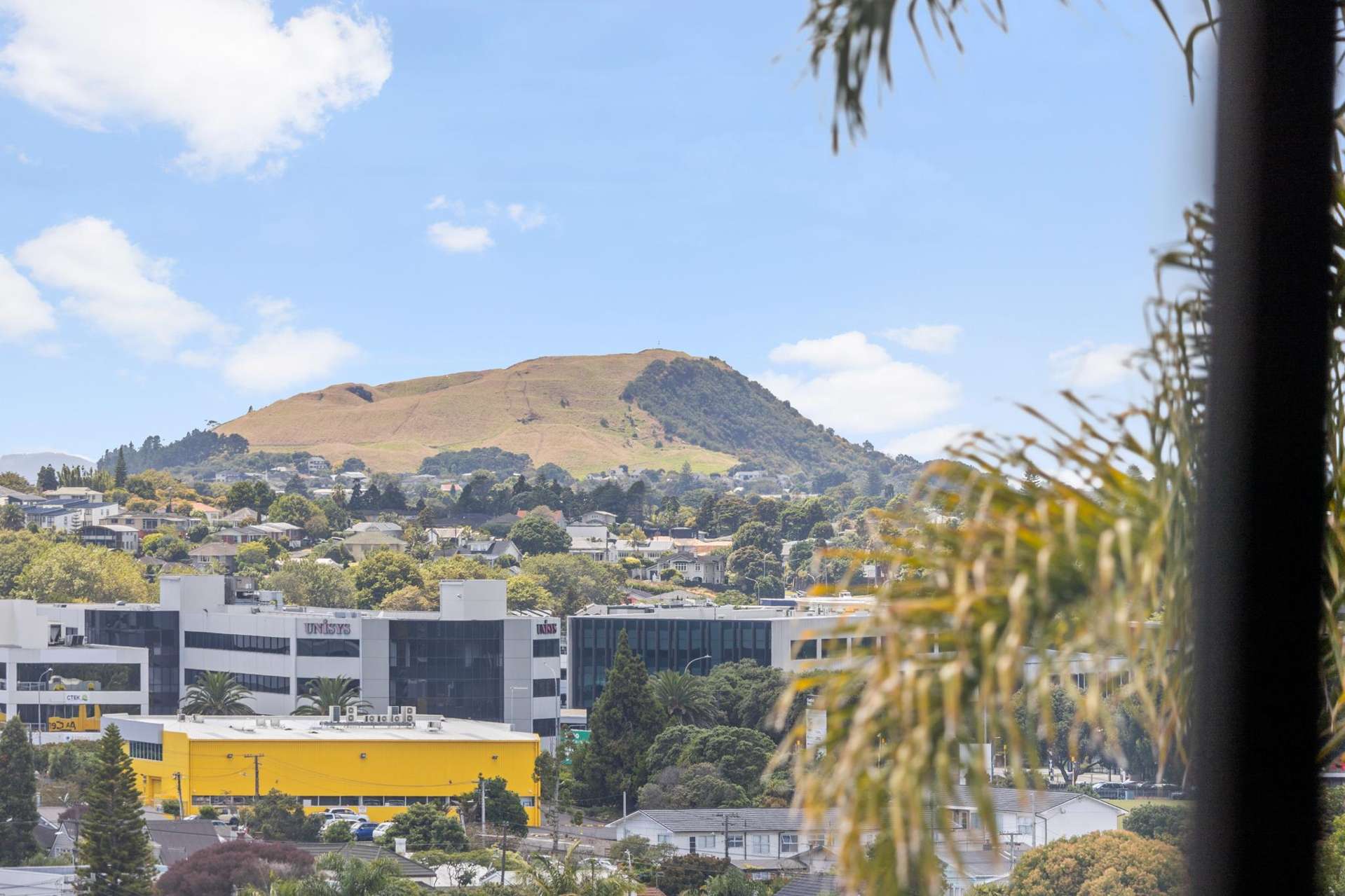 41b Konini Road Greenlane_0