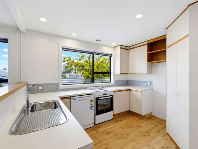 34 Suffolk Street Hampstead_4