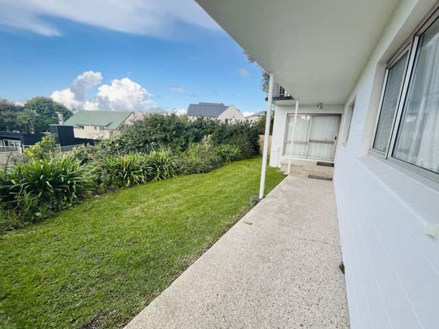 3/25 Seaview Terrace Mt Albert_1