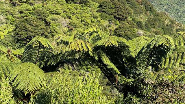 180 Totaranui Road Wainui Bay_3