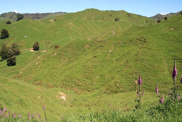 6753 Ohura Road Ruapehu-King Country Surrounds_7