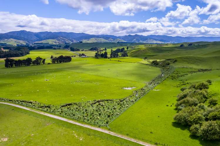 626 Valley Road Woodville_4