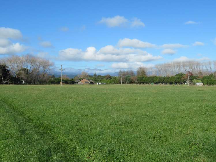 69 Avenue North Road Levin_13