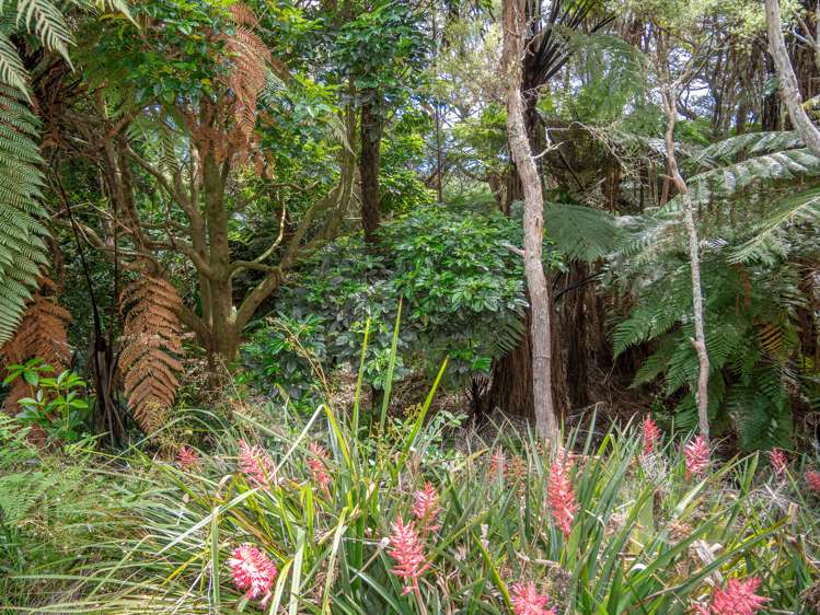 82 Turvey Road Mangonui_40