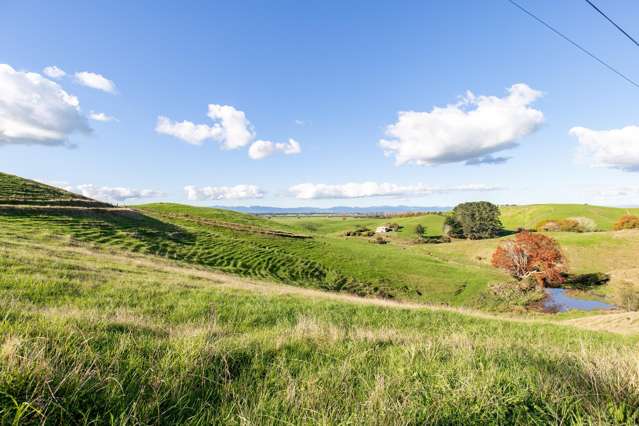 875 State Highway 27 Kaihere_3