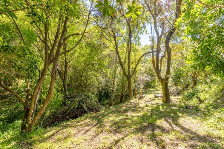 106 Soleares Avenue Mount Pleasant_29