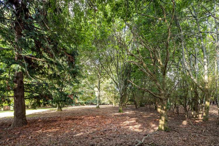 109 Butcher Road Matangi_33