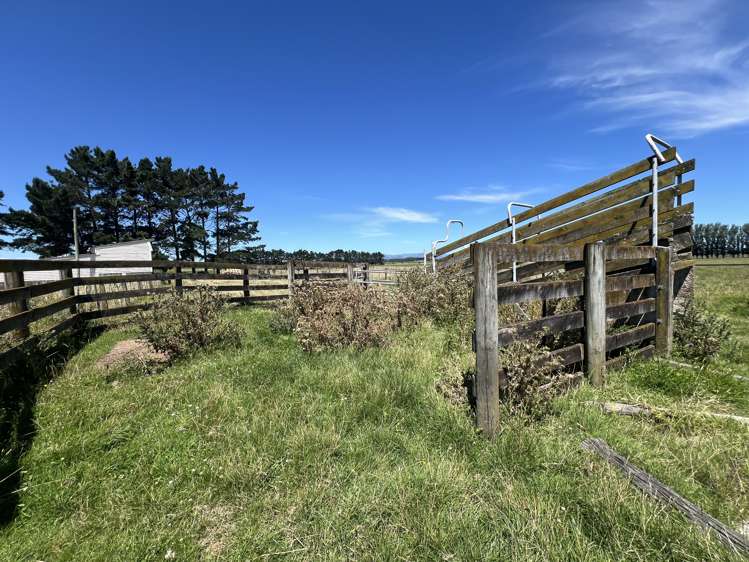 118 Hansens Line Newbury_7