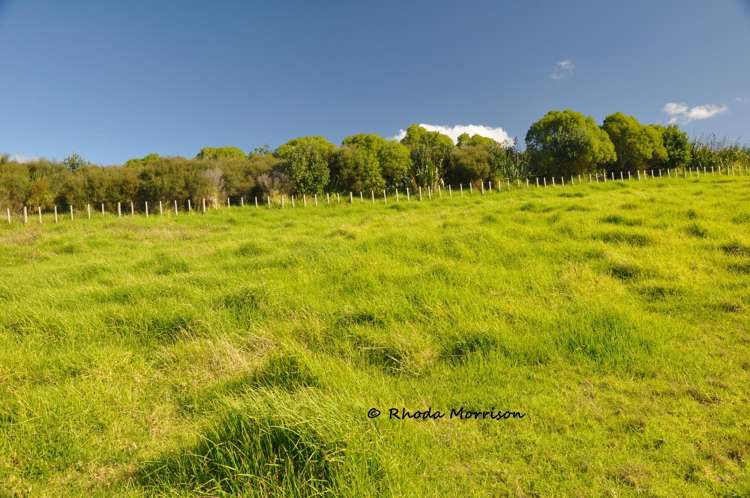 113 Te Rawhiti Road Matakohe_20