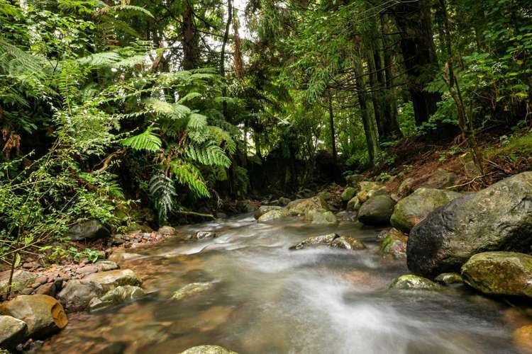 257 Willoughby Road Katikati_20