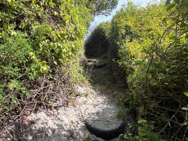 31 Toko Mouth Domain Road Milton_3