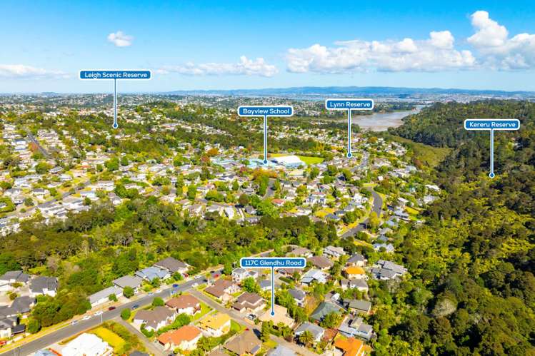 117c Glendhu Road Bayview_19