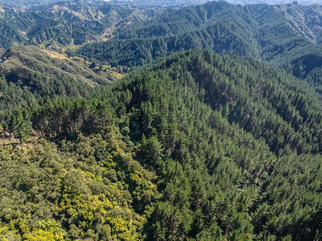 Tangahoe Valley Road Ohangai_4