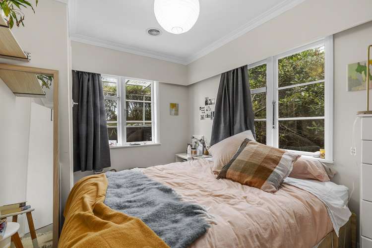 12 Krull Street Vogeltown_6