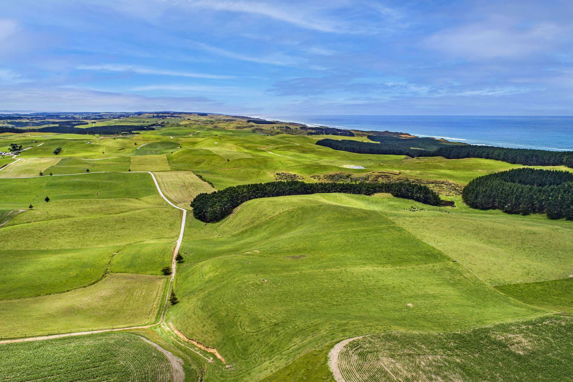 614 Te Maire Rd Te Kopuru_0