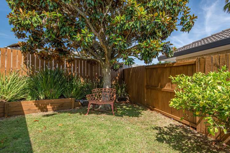 197c Captain Springs Road Onehunga_9