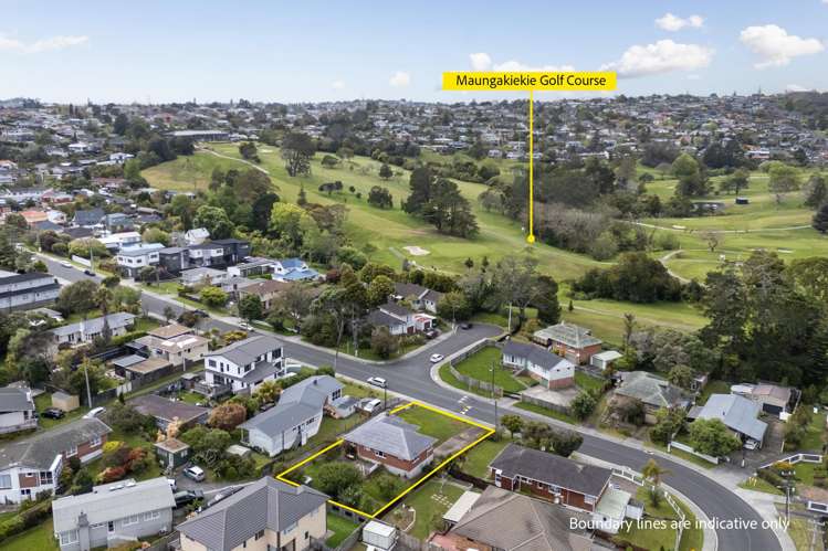71 Penney Avenue Mount Roskill_18