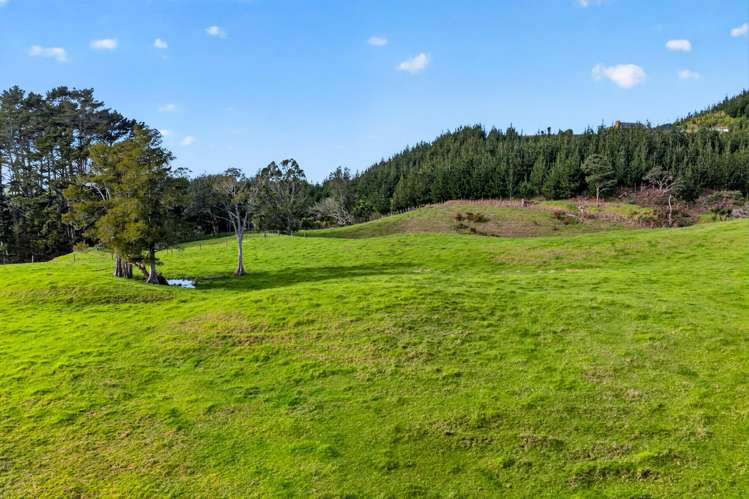 Lot 2 Annett Road Kumeu_16