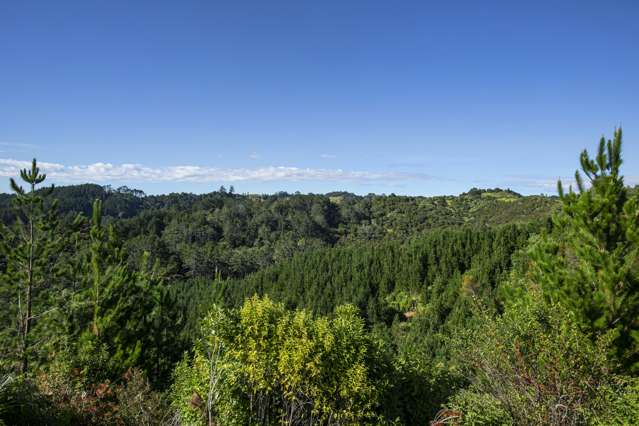 Lot 3, 163 Ahuroa Road Puhoi_2