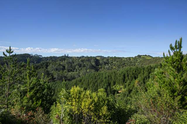 Lot 1, 2 & 3,/163 Ahuroa Road Puhoi_2