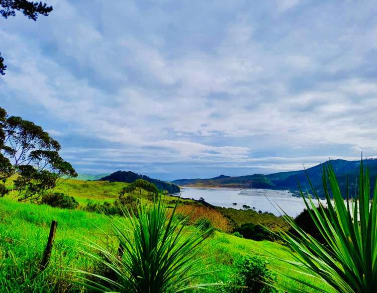 184 Whangape Road Herekino_9