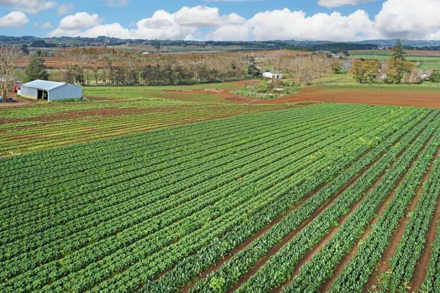 146 Ray Wright Road Pukekohe_2