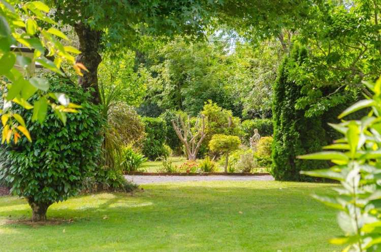 10 Oates Place Greytown_3