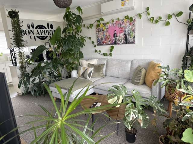 2/58A Prospect Terrace Mount Eden_2