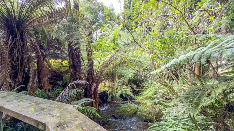 60 Victoria Street, Waikino Waihi_25