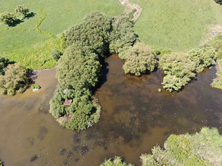 Paekaka Road Piopio_14