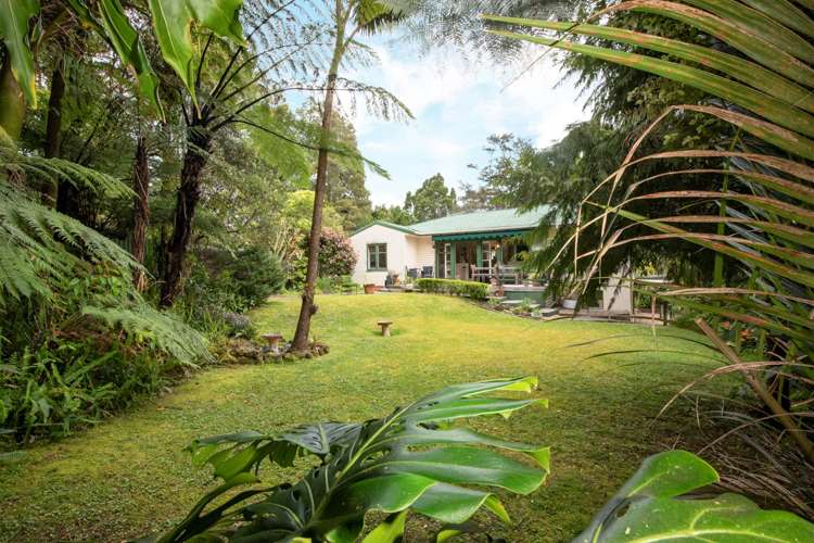 10 York Road Titirangi_10