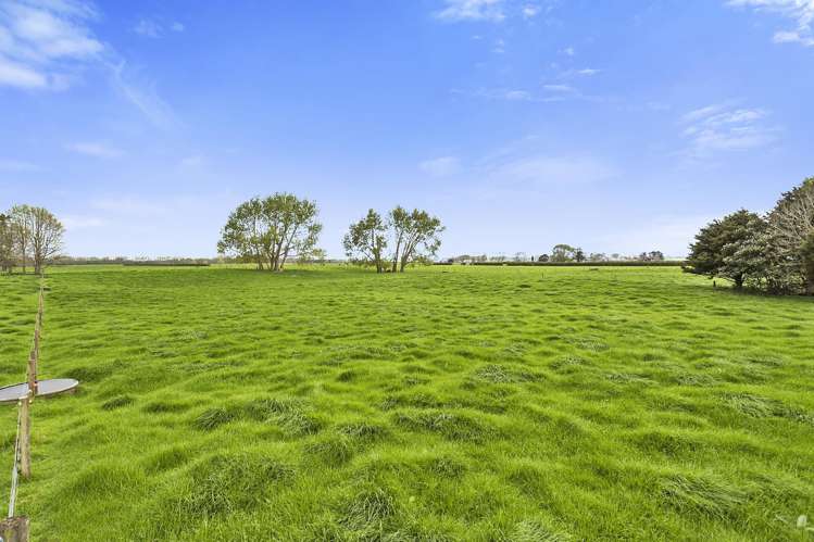 124 Horrell Road Morrinsville_5