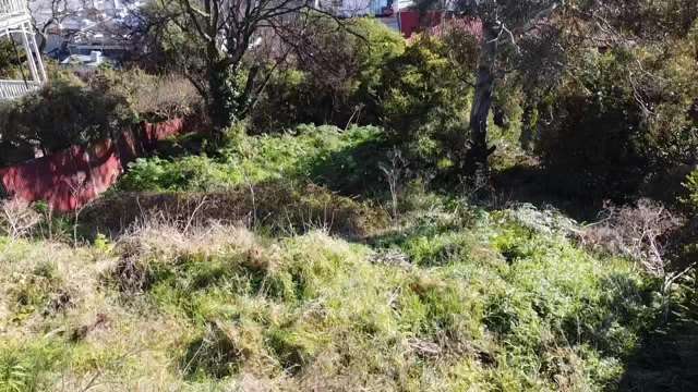 21 Currie Street Port Chalmers_1