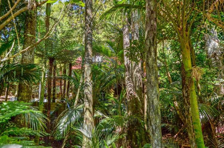 138 Konini Road Titirangi_30