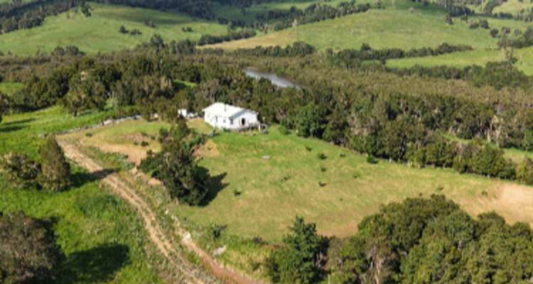 125 Orira Road_0