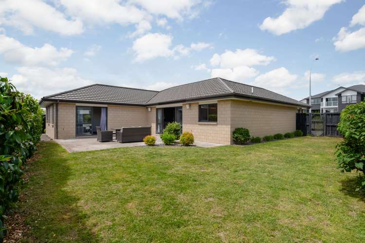 8 The Link Flagstaff_8