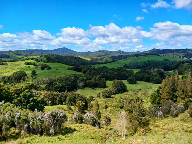 Lot 2 Otangaroa Road Kaeo_3