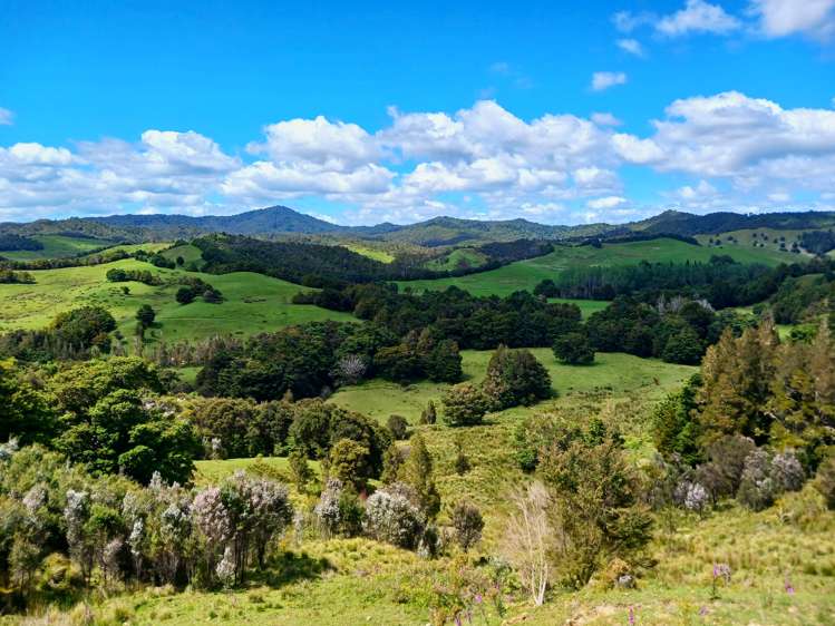 Lot 2 Otangaroa Road Kaeo_3