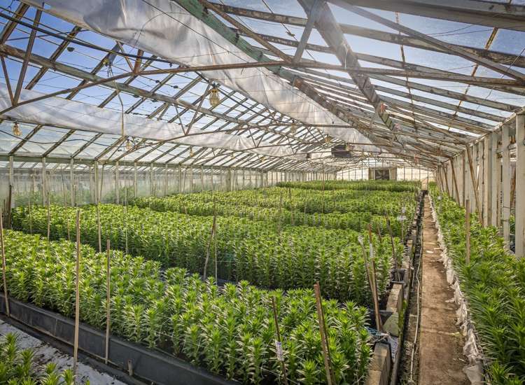 Address withheld Templeton_6