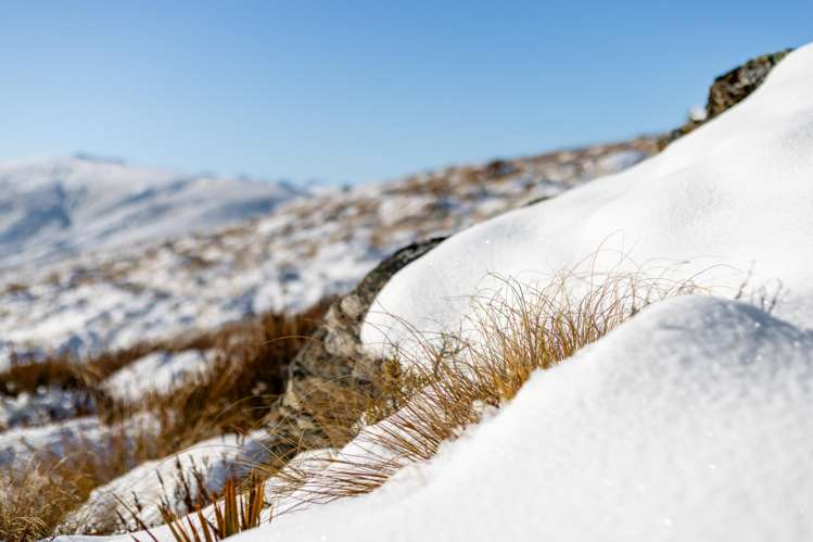 94 McLean Road Garston_19