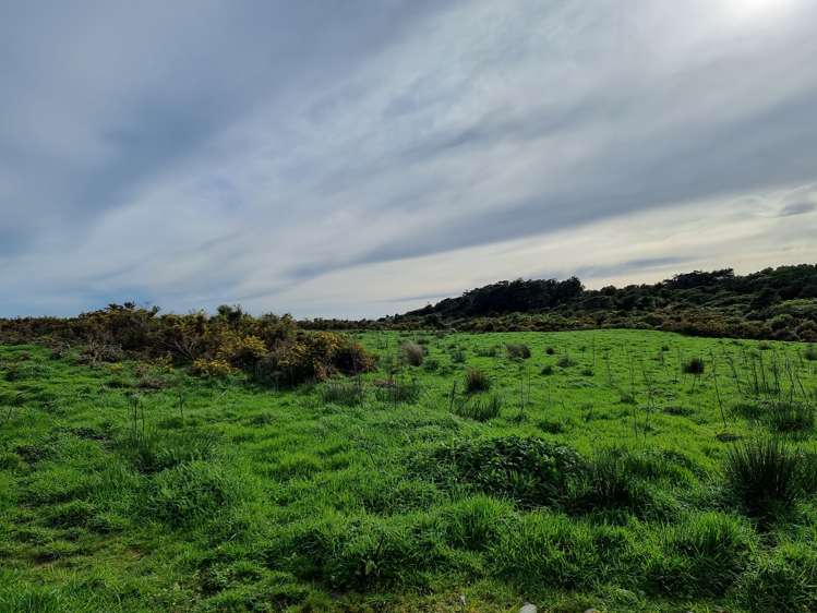 Burke Road Barrytown Greymouth Rural Property For Sale One Roof