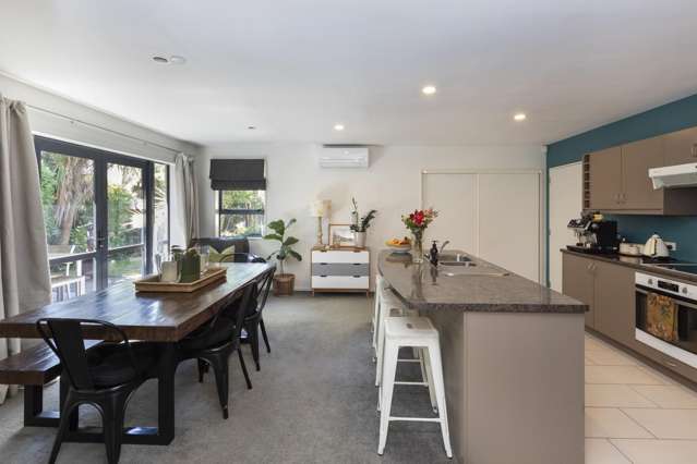 18a Seddon Street Sydenham_1