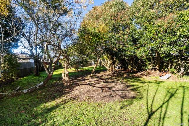 43 Tui Street Point Chevalier_3