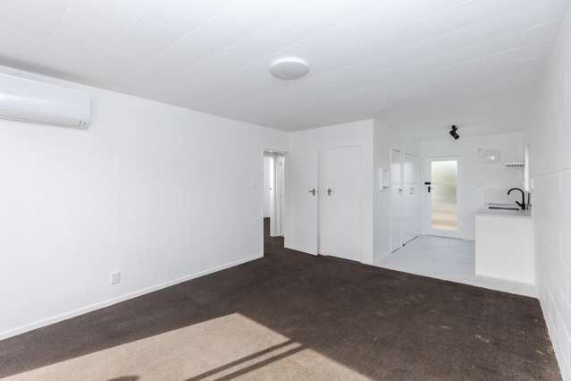 79e Firth Street Hamilton East_4