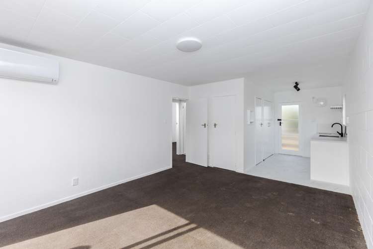 79e Firth Street Hamilton East_4