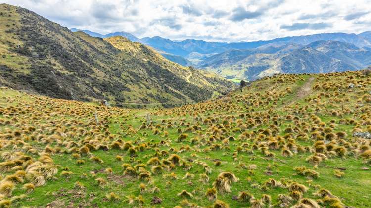 1157 The Peaks Road Hawarden_22