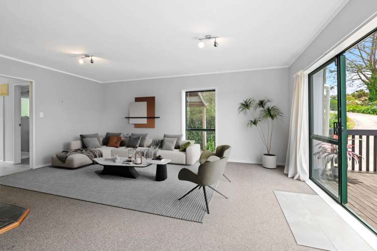 249d Wright Road Dairy Flat_8