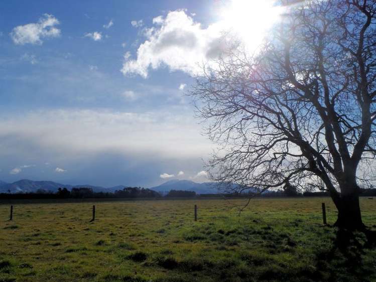 Templer Street Geraldine_20