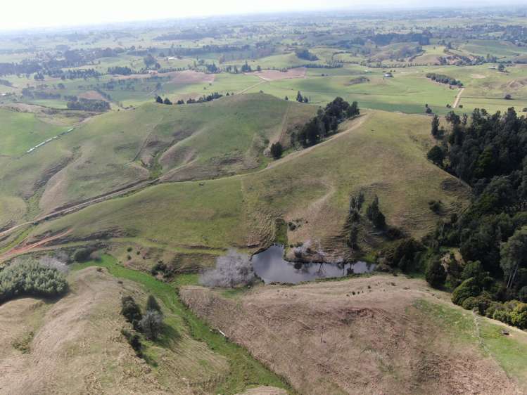 1026 Limeworks Loop Road Karamu_14